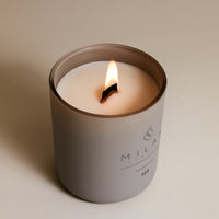 777 Coconut Cashmere